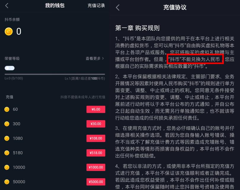 抖音官网如何充值抖币（详解在抖音官网上如何快速）
