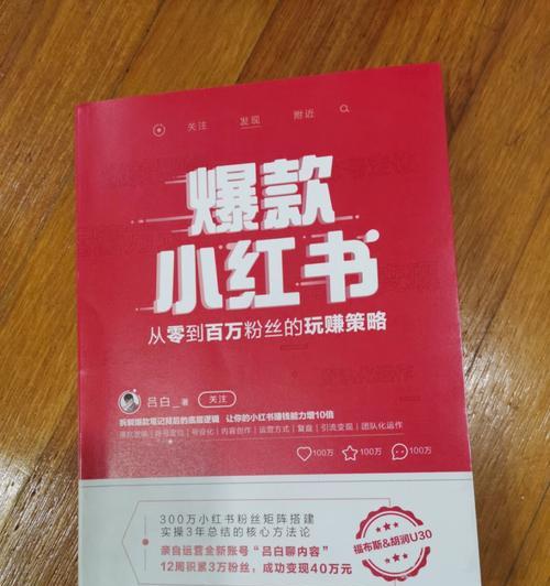 小红书100个赞能赚多少钱（探究小红书赚钱的秘密和经验分享）