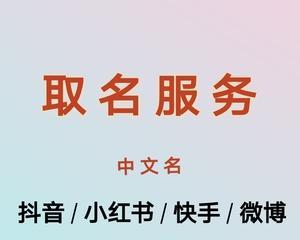 快手实名认证安全问题揭秘（了解实名认证的关键性和安全风险）