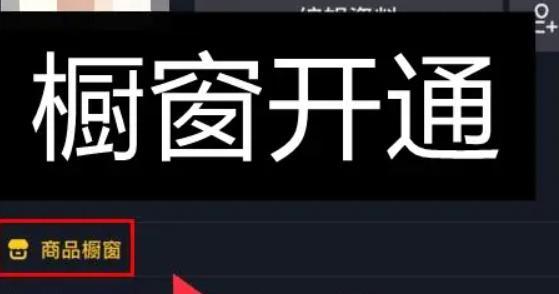 抖音橱窗卖零食新商机（从0到1）