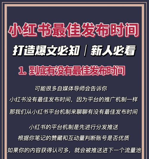 小红书和考拉哪个更值得信赖？正品保证如何辨别？