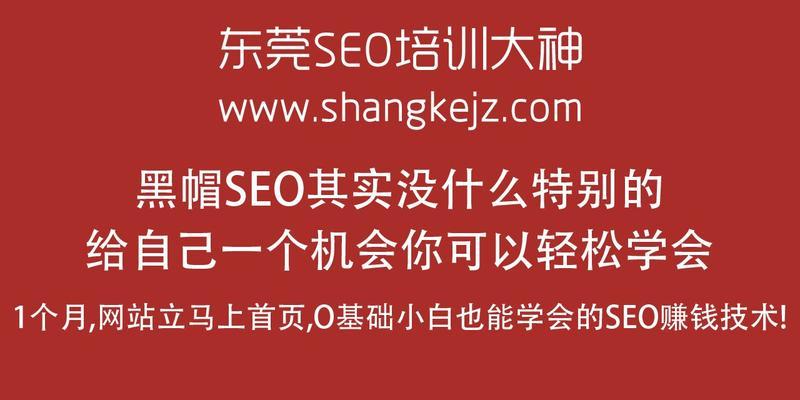 程序员必须掌握SEO知识？如何通过SEO提升编程技能的可见性？