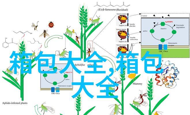 如何提高搜索引擎排名？搜索引擎排名的影响因素有哪些？